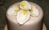 Wedding Cake Decorations